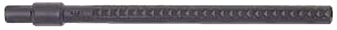 153-29004959KMQHIFyg7h Shaviv Klingenhalter E